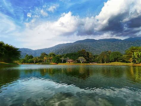 太平湖：歴史と自然の織りなす壮麗な風景！