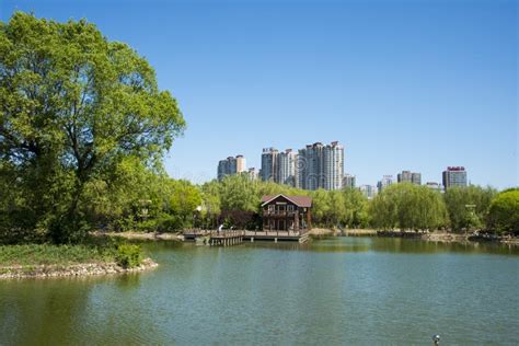  羊山公園！壮大な景色と自然の癒しを体験しよう！