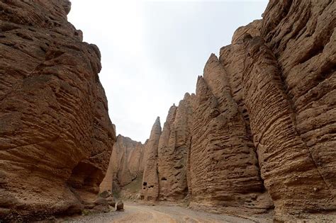  黄河石林の壮大な景観と神秘的な石像で心を奪われよう！